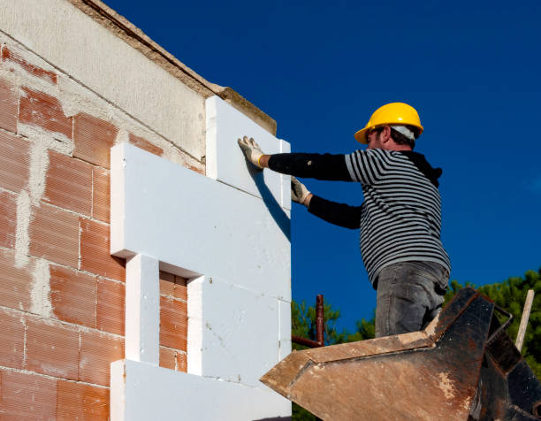 Best Insulation Replacement Services  in Arcadia, LA