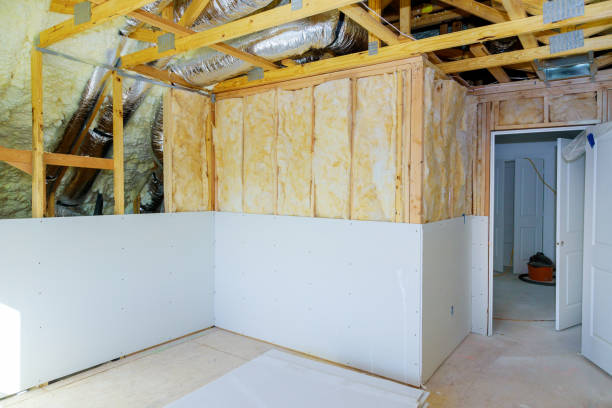 Best Blown-in Insulation  in Arcadia, LA