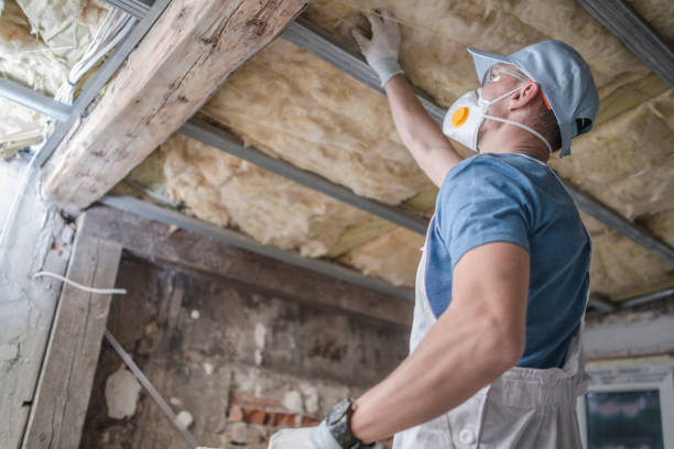 Best Insulation Contractors for Homes  in Arcadia, LA
