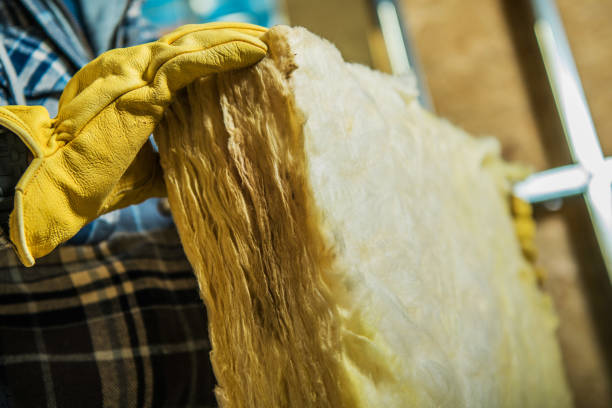 Attic Insulation Near Me in Arcadia, LA
