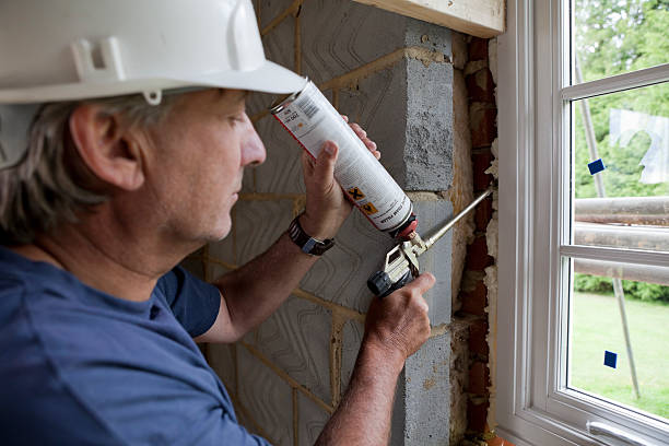 Best Local Insulation Services  in Arcadia, LA