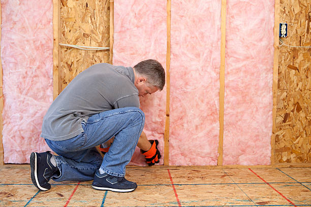 Best Insulation Repair Services  in Arcadia, LA