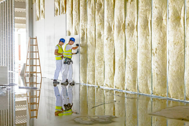 Best Insulation Inspection Services  in Arcadia, LA